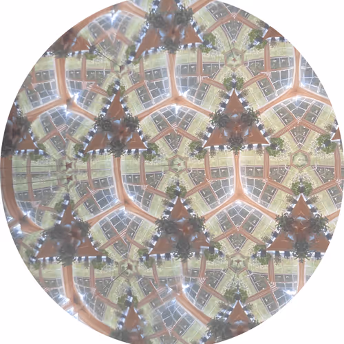 Kaleidoscope Images of Palm Plants in Window