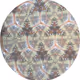 Kaleidoscope Images of Palm Plants in Window