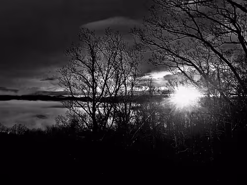 Item #19841423673673061120678522492980359232702795421164906781459419143801254445057 Media