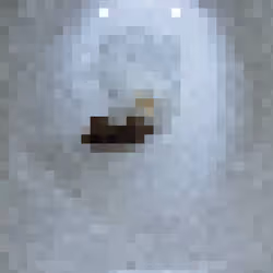 2850415134272365380187775685678842410458265265709128331682257644814235336705