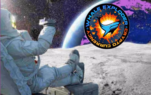 Item #11109179810418610233123544384795183172325731298422340840285062411782079905892 Media