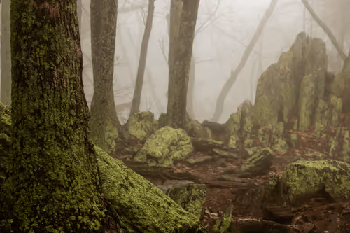 Scenes of North Carolina