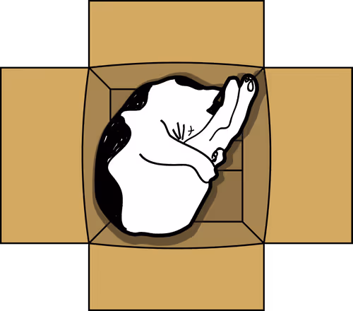 Item #39805114406174114773980614923052611762167920447738557333070094657487663792129 Media