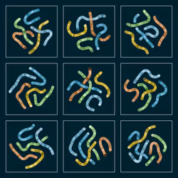 107937117699900001194099939943306584939867407144504846123696048292690177032193