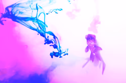 Item #101713277105975589639880448454091243544280285560533982294413790940873476800522 Media