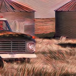the farm