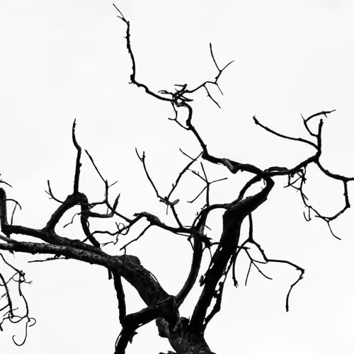 Natural Veins
