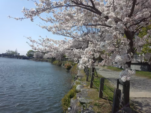 Item #42681016513473886367928798461546651982710033515694921359997072497312725467137 Media