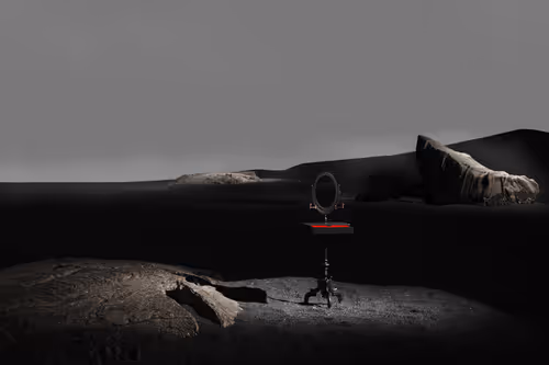 Item #10438479335416174087745101487423983935619933269608555081744990515578915520513 Media