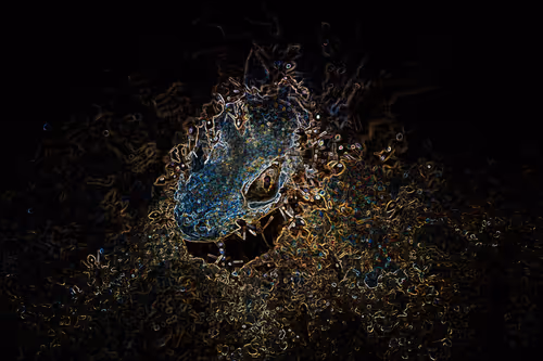 Item #112357457195153001497773786489249045252427376720708510106941895591421680812033 Media