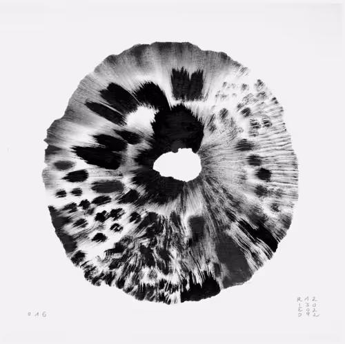 Item #87368348536975332333645058037990373278500397313615538842159321351776070795280 Media