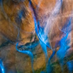 Blue_Phoenix
