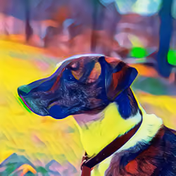 koda
