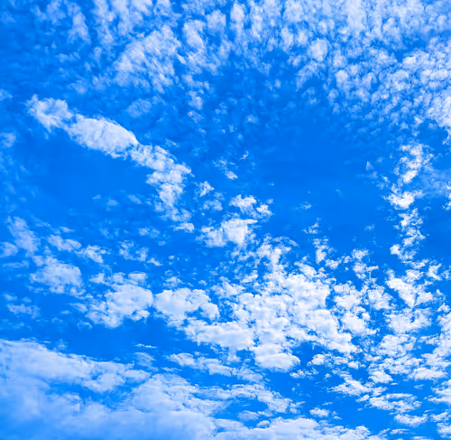 Item #19706736647229879656822454132754720829342414100240411727761359064077187416065 Media