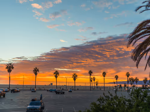 Item #62617397375757312297803897609954755559227699621957103885912270313193113387009 Media