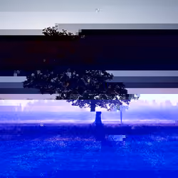 Twilight Glitch