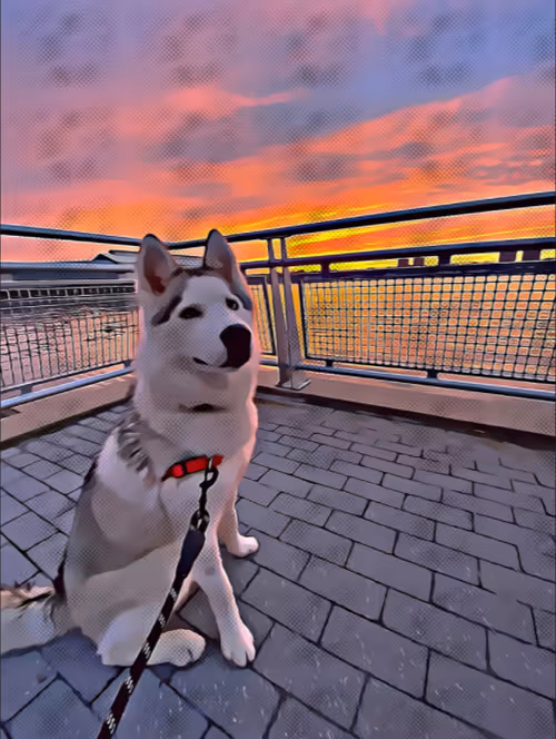 Item #13754153459457669646824544607414495274840450408560395979745817045091647225857 Media