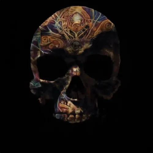 Crypto Painted Skulls