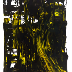 20. septic