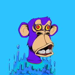 Ape #28073