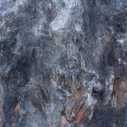 89716942802498903345130334803239853703441552995015827228005889654388938506241