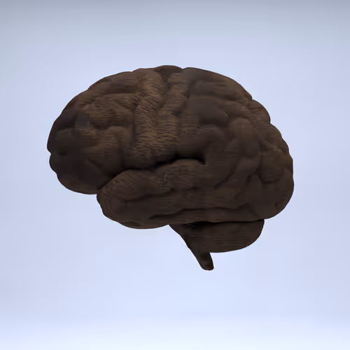 Item #77412820926303725204956055566925211190020908428863033075197849067588421681153 Media