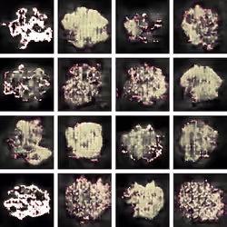 "Evolution" Image 11: Generation 3000