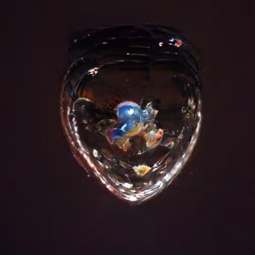 Lifeinbubble 9nMOU4wimF