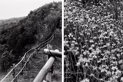 Item #97230826546483525786642043463172718253247497572551012304181144307630063222794 Media