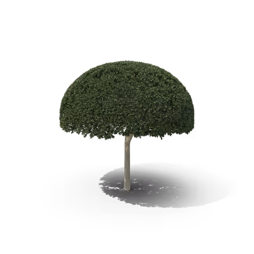 Item #36557224033069565400419298715916611442711242076290286007895566456953216434177 Media