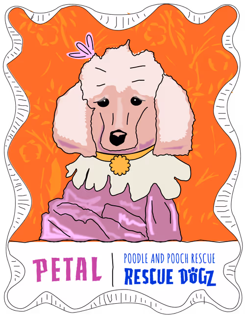 Item #30690731946652718087334591486962028713730520455891869769803774224073905668097 Media