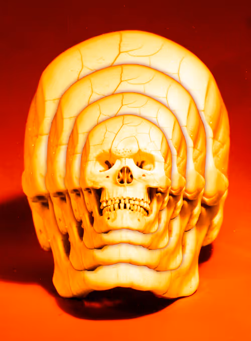 Item #58558928973859041606954946170623573486003730500193276573607696973606105907201 Media