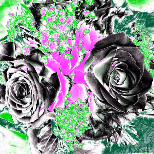 10162537437224382031479019658551907585229278444242708151782220090104883445761