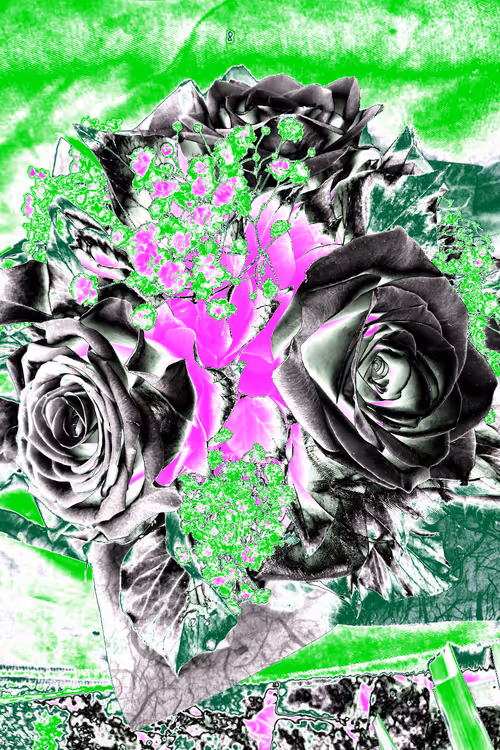 Item #10162537437224382031479019658551907585229278444242708151782220090104883445761 Media