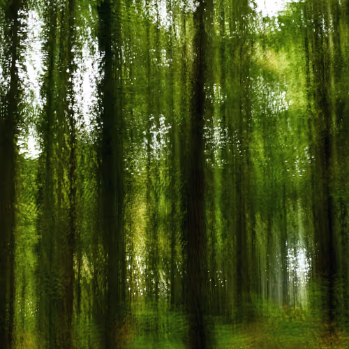 Multiples 10.1 (abstract forest)