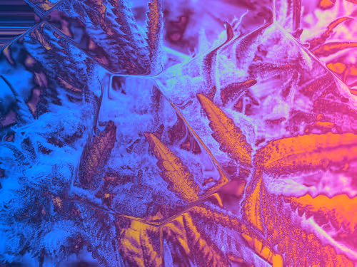 Item #83970981387443879143921485150900069530799783516997234463864977579867285487617 Media