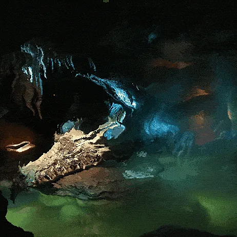 Item #13381552457891204755844646832314136294320918458672548337252499959125622390785 Media