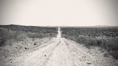 Item #56013625822960559351515646220389305313999776814502509802093240839059313524737 Media