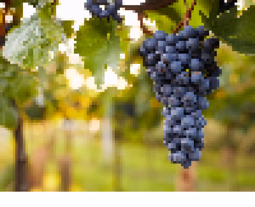 Item #25350083611604470530281593362228819369712463321341820751446109997828879155201 Media