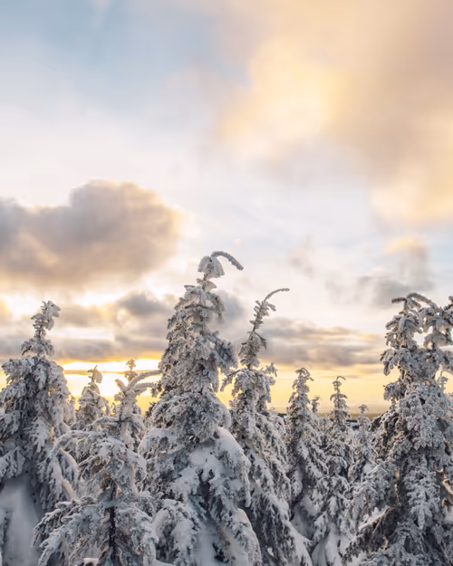 Item #84187683161901868737511018211766444110537923242733545241103394993069178748929 Media