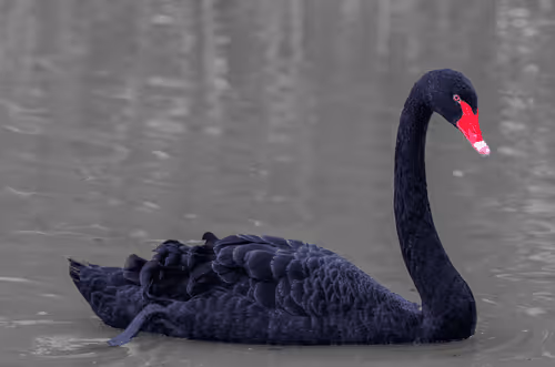 SzReality Collection