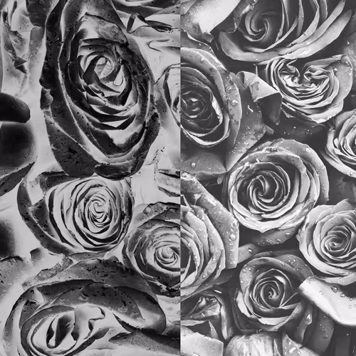 Item #16242110343075384695976872511431893746584995890381912354078390077802391011329 Media