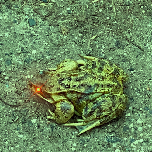 Item #7617488058710117402786806328745209336955427580034910121800737437151173541889 Media