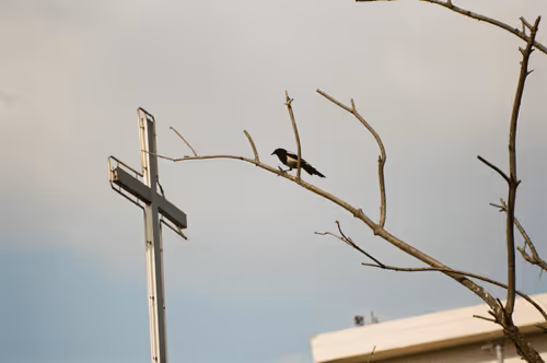 Item #74023677201646755135331308507564903527540019638043320718460698816790411608065 Media