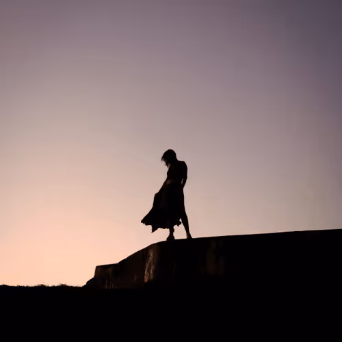 S for Silhouettes