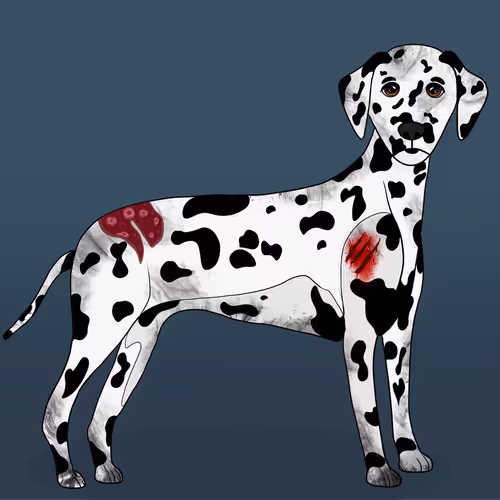 Item #18929025953091685879740265421444029621973902778044225700407145474799727280129 Media