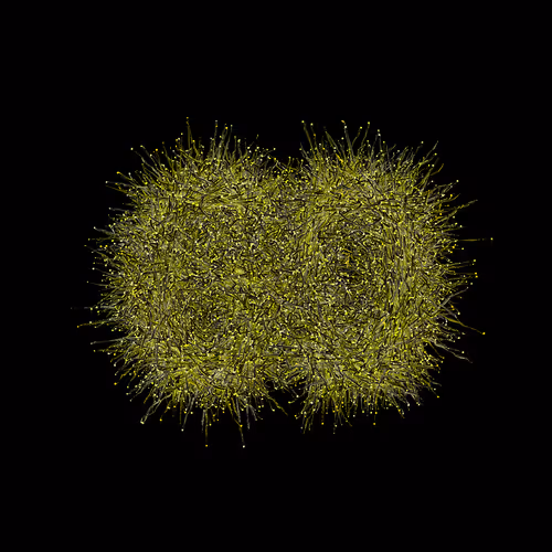 Item #31186271462743839332083495437684930572283654238385709344730710932219335016449 Media