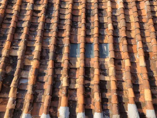 Untitled Collection #88605260