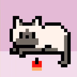 82439203257967989213835268113138184791428029916683936821417169808467328761857