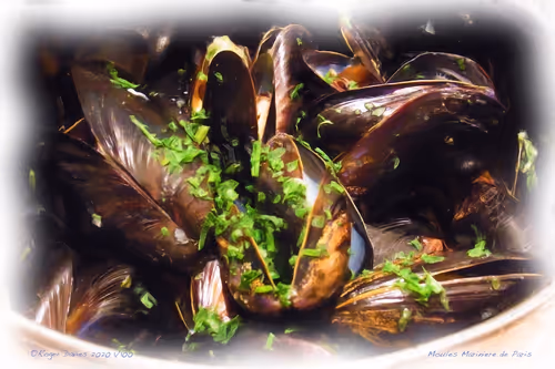 Item #25766228410116791685339336380012731519026805930459738932816938701658496434276 Media